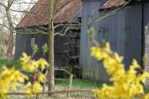 Collse watermolen