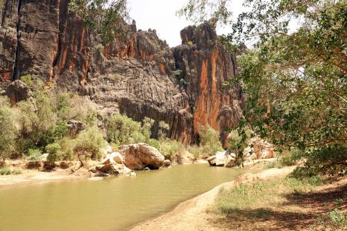 Windjana Gorge billabong