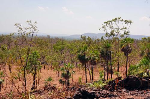 Bukbukluk lookoutKakadu NPNorthern Australia