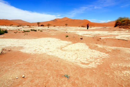 Deadvlei 