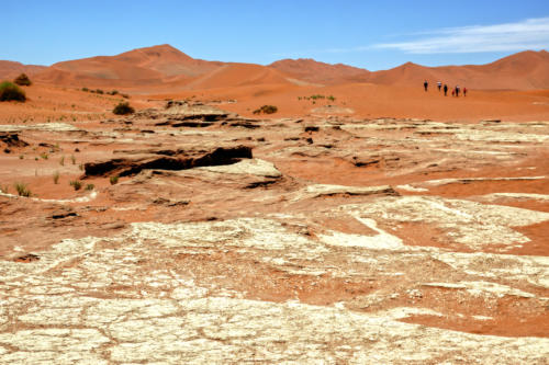 Deadvlei 