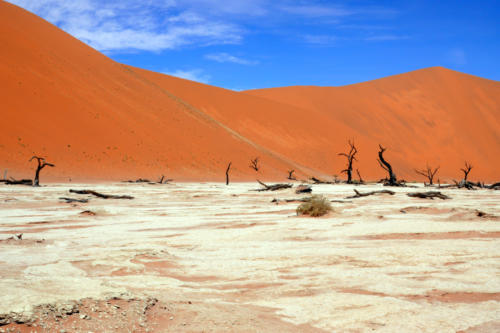 Deadvlei 