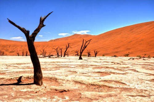 Deadvlei 