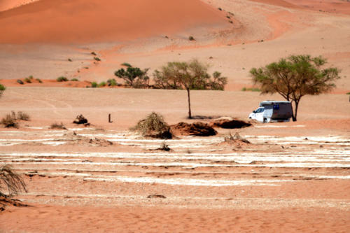 Terug uit de deadvlei