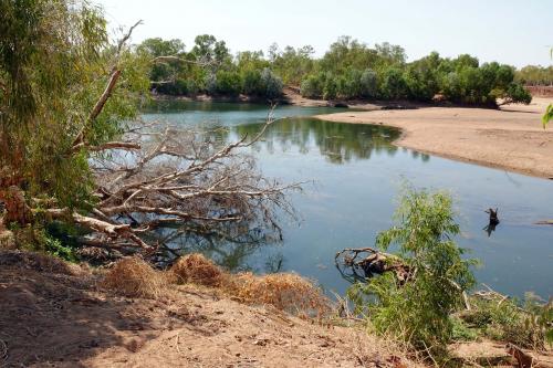 Danggu Geiki NP  Fitzroy riverFitzroy CrossingNorthern Australia