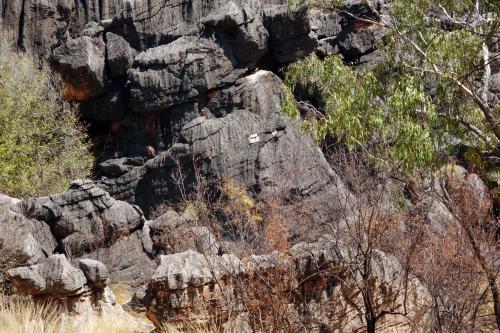 Danggu Geiki gorge NPFitzroy CrossingNorthern Australia