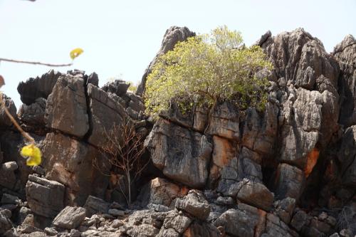 Danggu Geiki gorgeFitzroy CrossingNorthern Australia