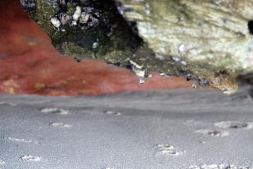 Strand : druipsteen in het klein 