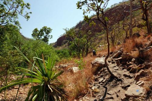 Emma Gorge, Gibb River Road