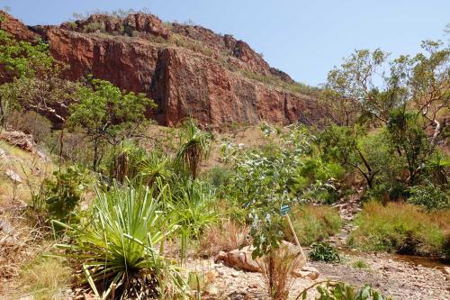 Emma Gorge, Gibb River Road