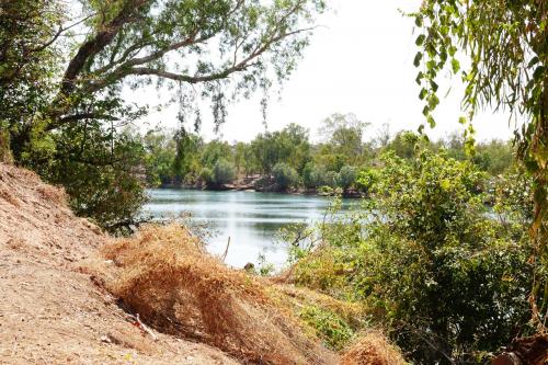 Fitzroy river  Geiki NP Fitzroy CrossingNorthern Australia