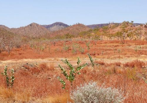 Rocks near Halls Creek Great Northern HighwayNorthern Australia