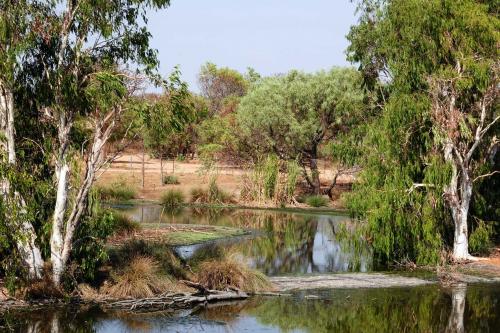 Waste Water Wetlands Derby