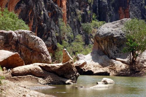 Windjana Gorge National Park