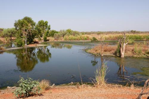 Mudplains DerbyNorthern Australia