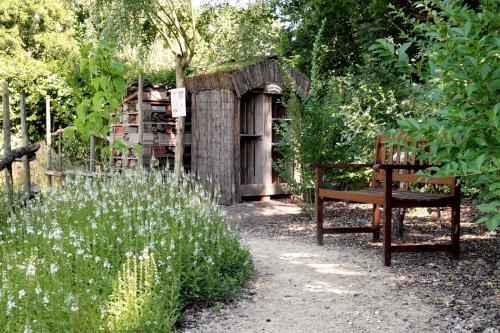 Vlindertuin Gemert