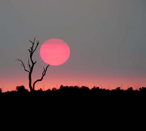 Zonsondergang Corroboree Billabong