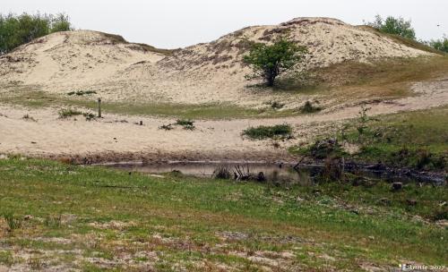 Zeepeduinen