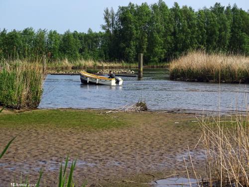 Biesbosch