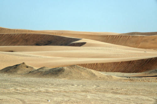 Zandduinen 