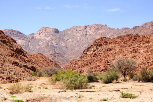 Damaraland