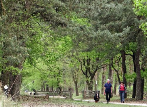 Wandeling De Witte Bergen