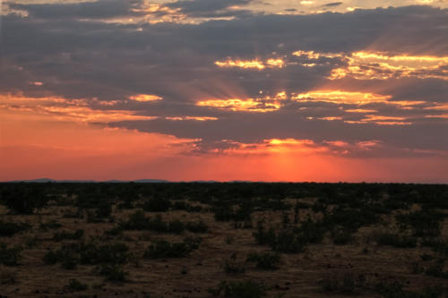 Zonsondergang 