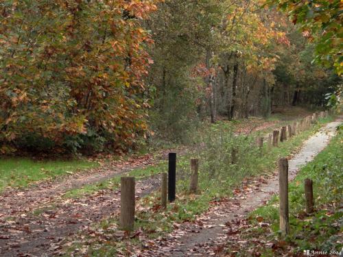 Wandel- en fietspad