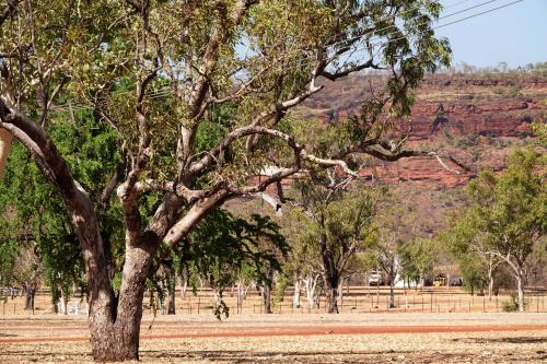 Victoria River Road House, Gregory NP