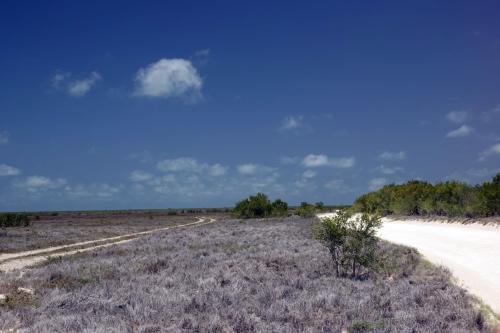 Road to Willies pearl farm Dampier PeninsulaWestern Australia