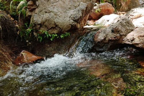 Zebedee springs, Gibb River Road 