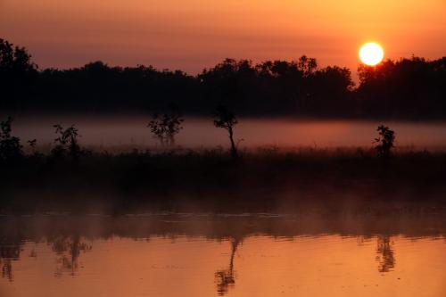 Zonsopkomst boven de Yellow River Creek