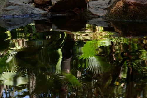 wateroppervlak, Zebedee Springs