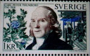 Carl Peter Thunberg 2