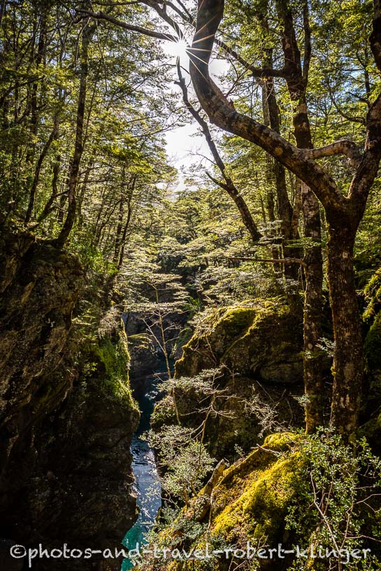 A beautiful gorge on the Caples Greenstone walk, New Zealand