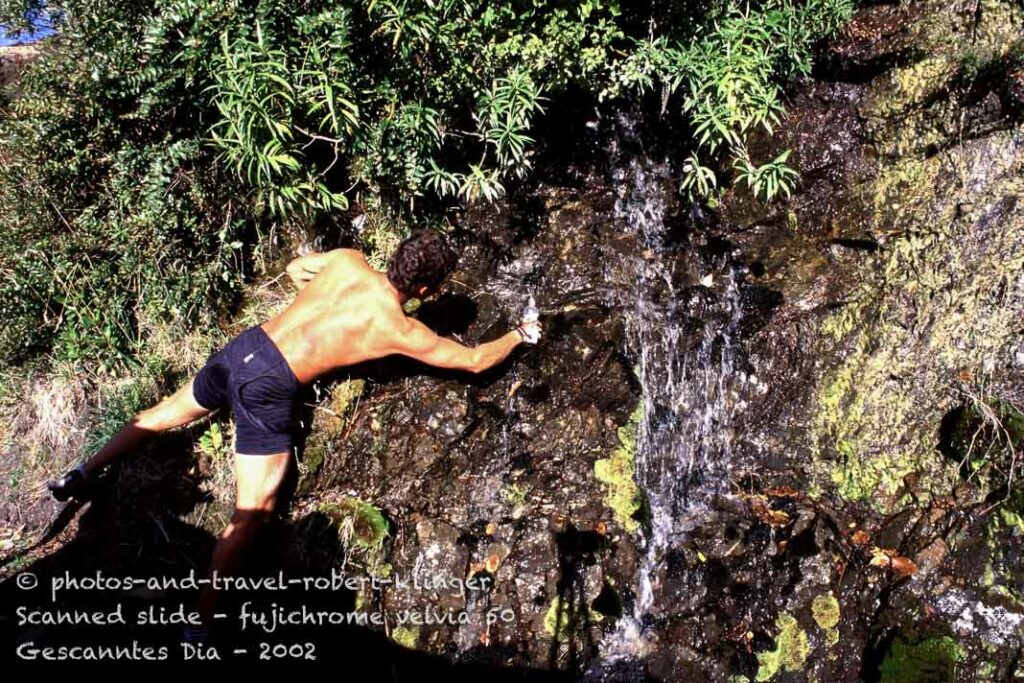 Getting water from a natural spring in New Zealand