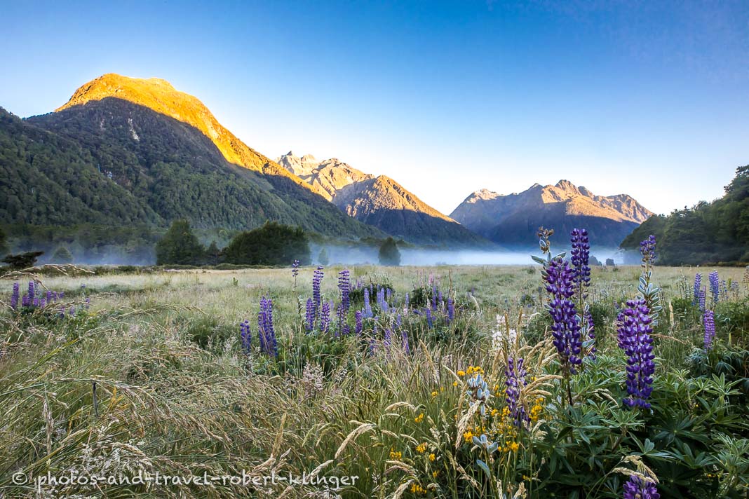 A sunrise in the Eglinton valley at the Milford road