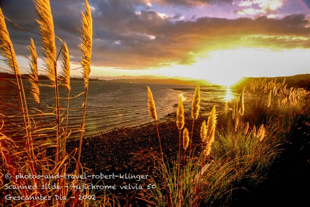 A beautiful sunset in Opononi, New Zealand