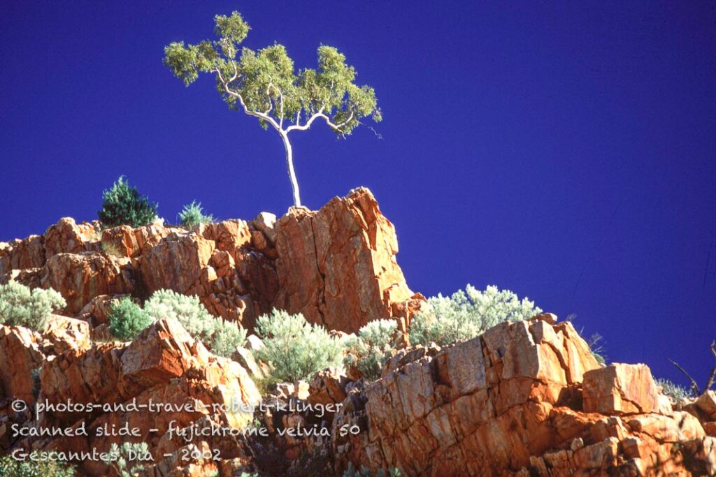 In the outback of Australia