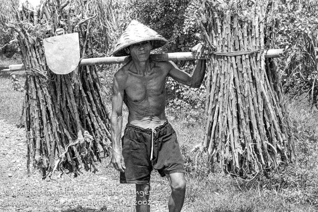 A man collecting wood in Bali