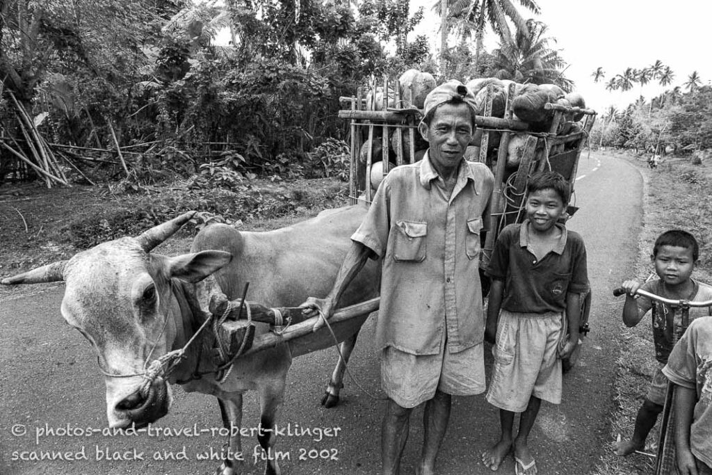 A father and his children in Asia collecting coconuts