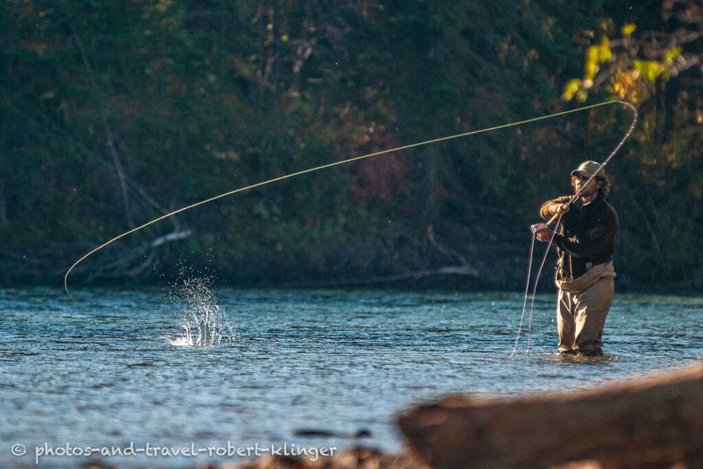 Salmon fishing on the Bulkley river in BC, Canada