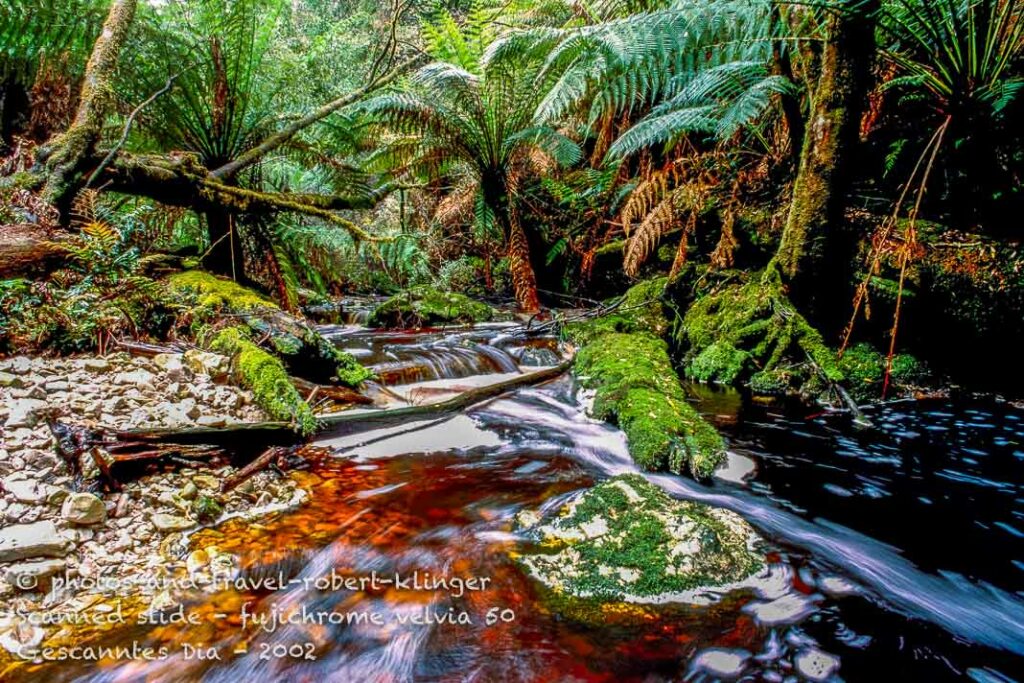 A stream in the wilderness of Tasmania