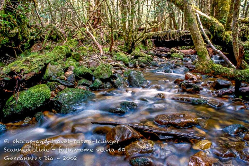 A stream in the wilderness of Tasmania