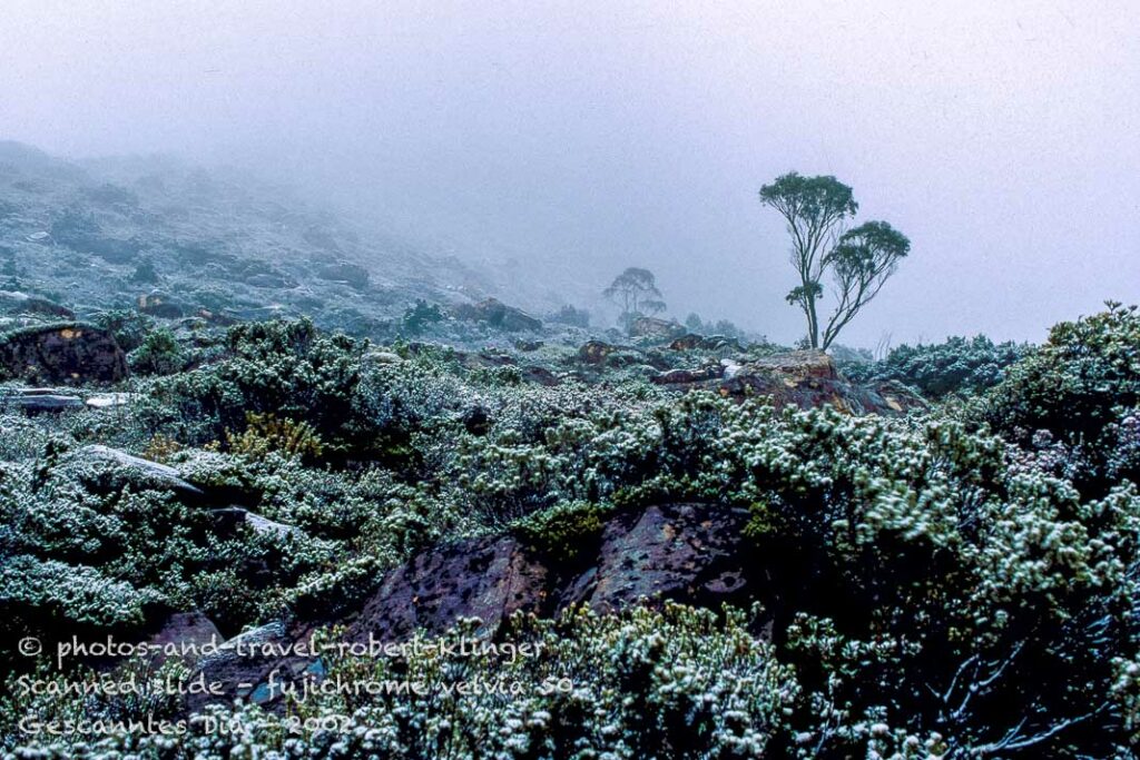 The mountainous wilderness of Tasmania