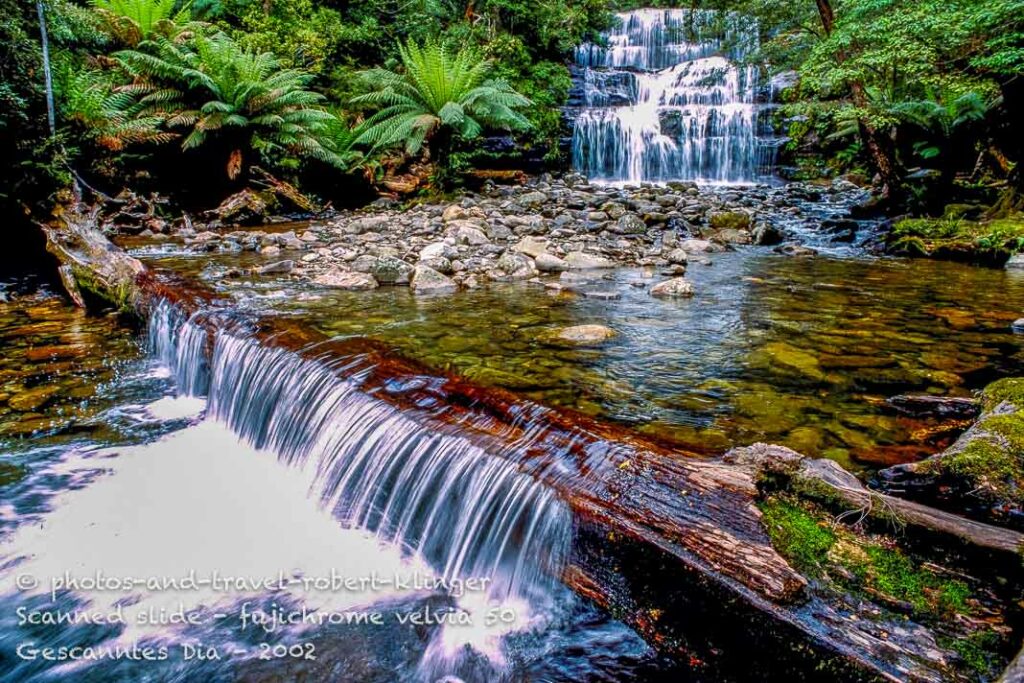 A waterfall in the forest of Tasmania