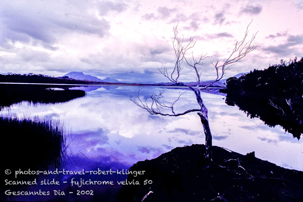 A Lake close to Maleleuca