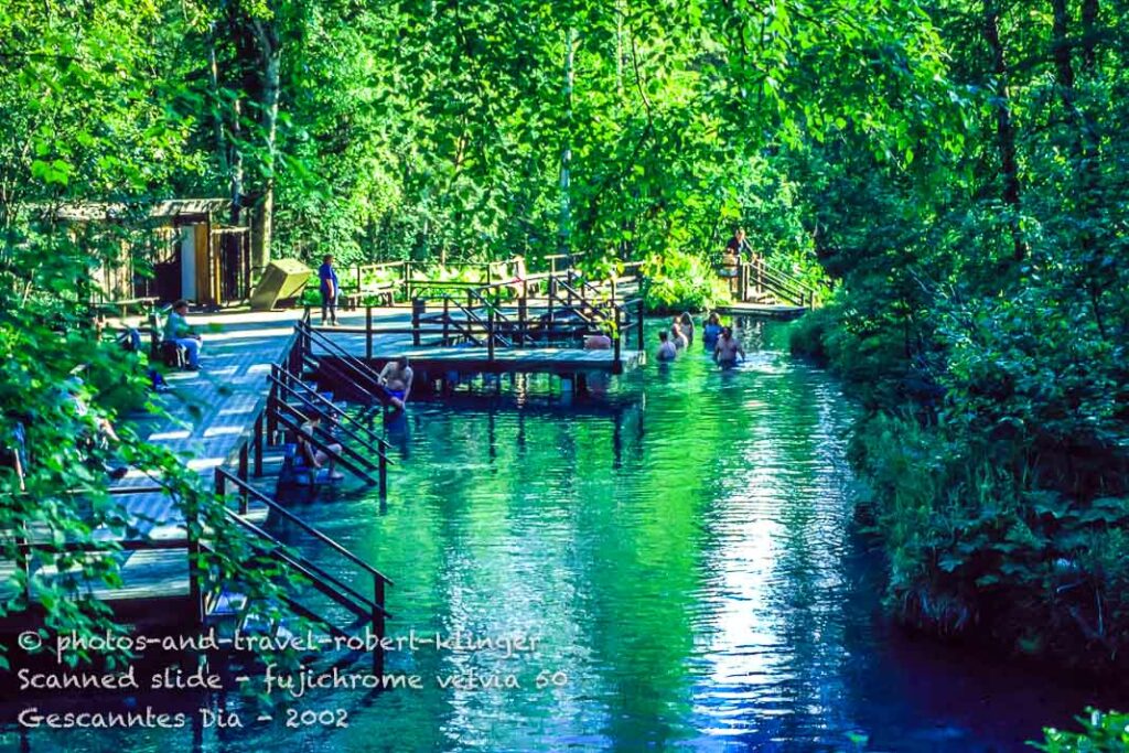 The Liard hotsprings