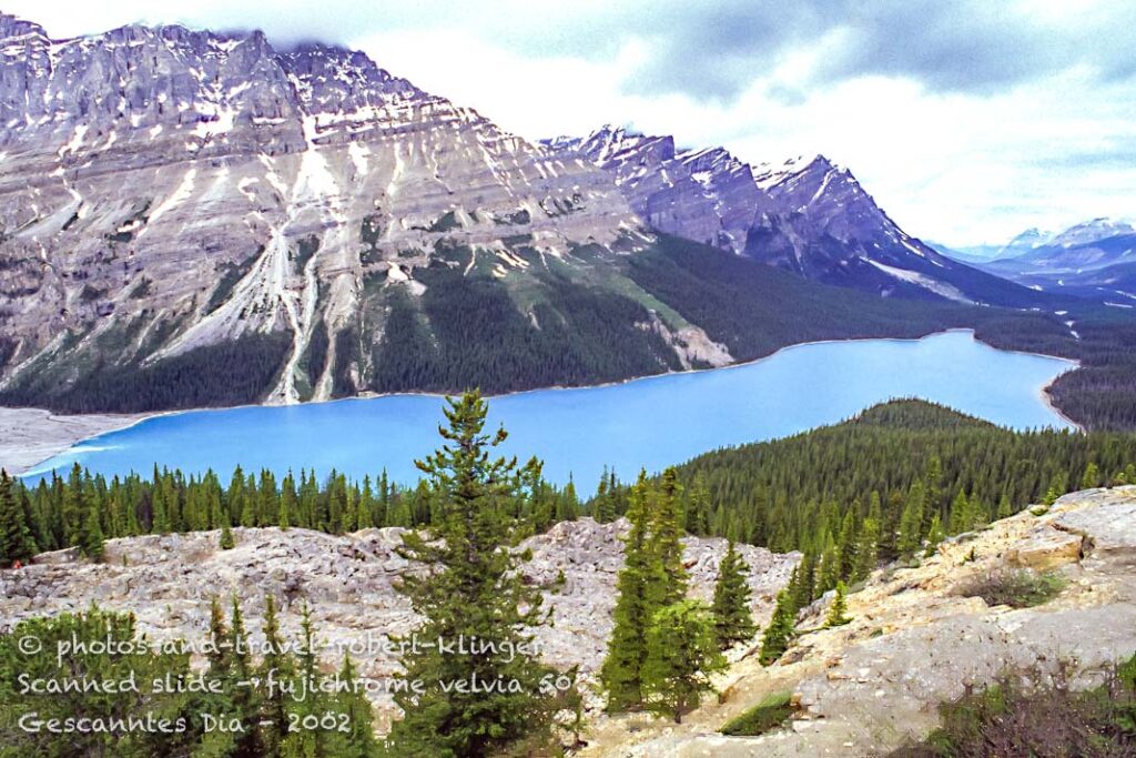 Peyto Lake in the Rocky mountains