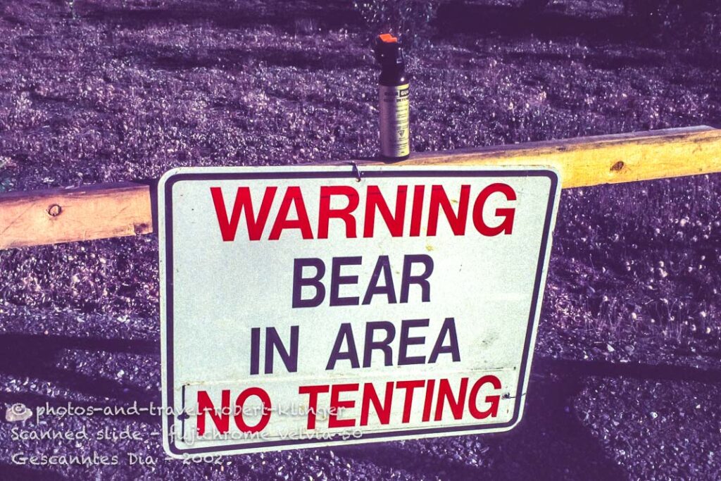 Bears are a real danger in Canada